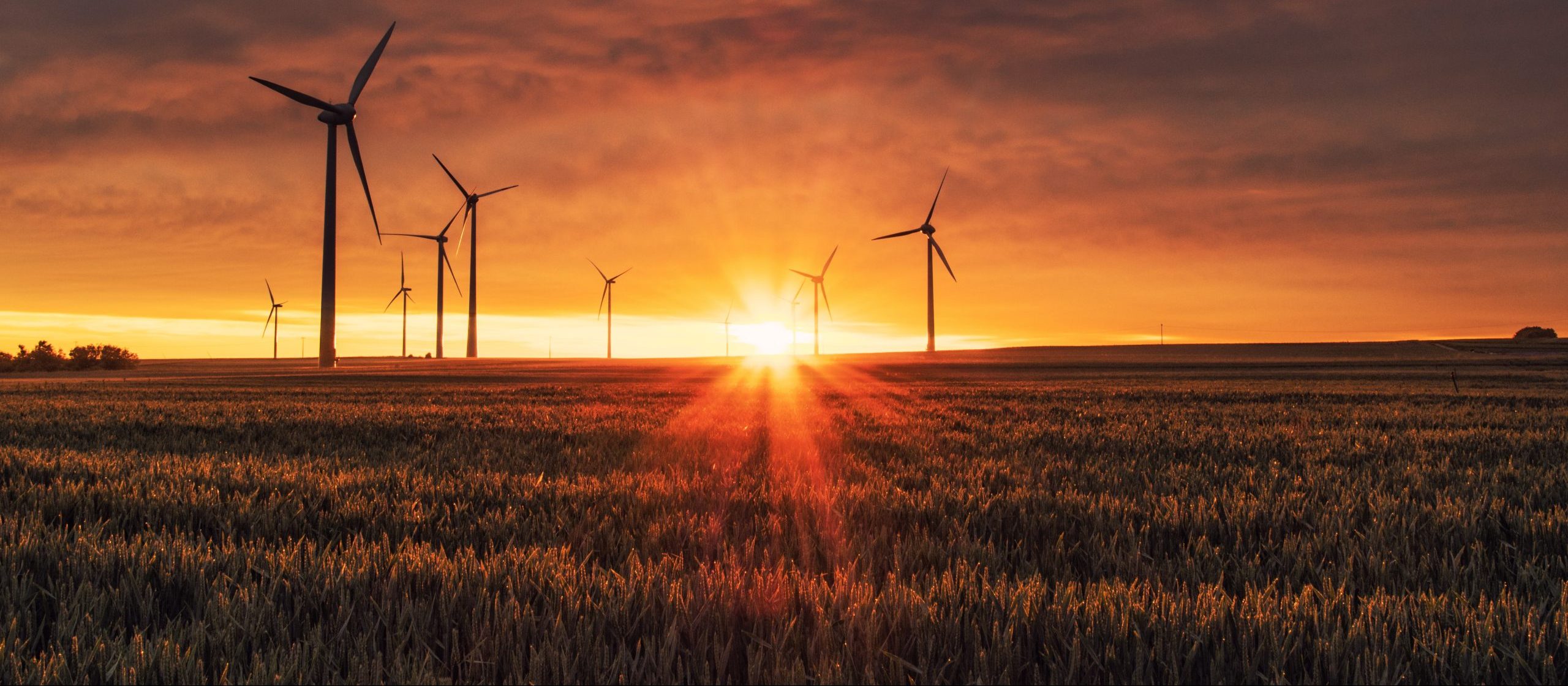 Understanding the Difference Carbon Neutral vs. Net Zero Emissions