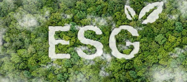 Does more need to be done to hold banks and the financial services industry to account for their ESG practices? image