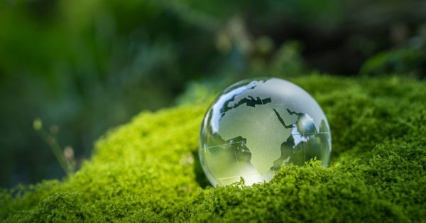 How to market your carbon reduction achievements (without greenwashing) image