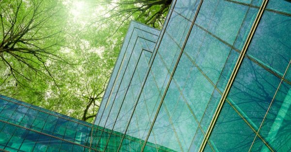 The 5 Most Common Questions Businesses Ask When Starting Net Zero image